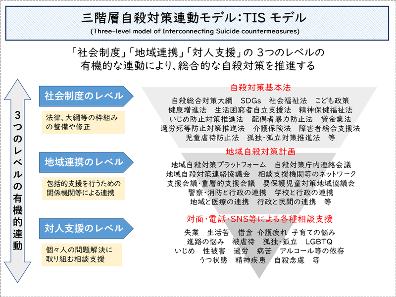 fig-250805-TISmodel.png